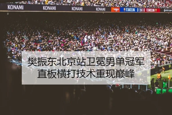 樊振东北京站卫冕男单冠军 直板横打技术重现巅峰